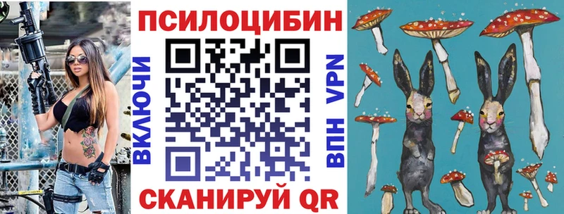 Псилоцибиновые грибы Cubensis  цены   Конаково 